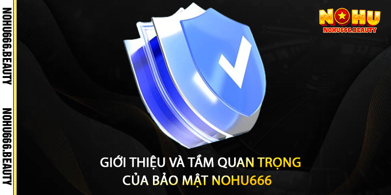 Giới Thiệu Và Tầm Quan Trọng Của Bảo Mật Nohu666